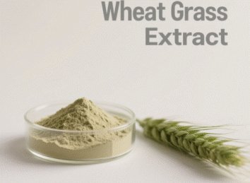Wheat Grass Extract