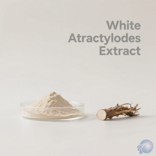 White Atractylodes Extract