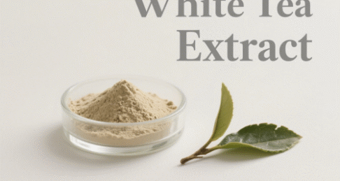 White Tea Extract